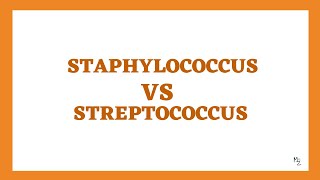 Staphylococcus VS Streptococcus 5 Major Differences to Memorize 💡 [upl. by Yllrebmik126]