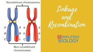 LINKAGE AND RECOMBINATION for NEET AIIMS AIPMT MCAT JIPMER PREMED [upl. by Eseerahs]