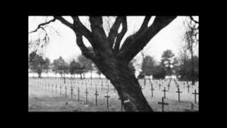 Dark haunting violin  Grave Song by Max Ablitzer [upl. by Hiamerej]