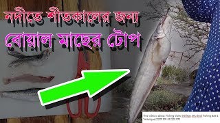 Fishing Video Wallago Attu Boal Fishing Bait amp Technique বোয়াল মাছ এর টোপ গাথা [upl. by Vashti]