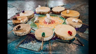 Roda Feminina de Canto com Tambores Xamânicos Shamanic drum circle Canto à Gaia [upl. by Zawde]