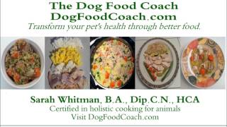 Vet Recommended Homemade Dog Food [upl. by Aviva]