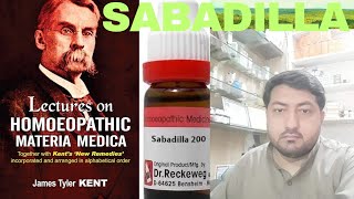 Sabadilla Benefits in Urdu  Sabadilla Single remedy  Homoeo Dr Adnan [upl. by Allcot]