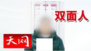 《天网》小老板逆袭成为知名企业家 调查才知原来竟是个大毒枭！20241112 [upl. by Ebba]