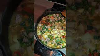 Organic Beef Stew with Vegsfood shortsfeed shortvideo [upl. by Ecydnarb]