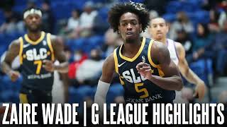 Zaire Wade G League Highlights ᴴᴰ [upl. by Norval944]