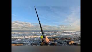 fishing cambois rocks [upl. by Eradis]