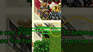 ⚔️💥VOCÊ LEMBRA DE LUCERA NO TIBIA💥⚔️ tibia mmorpg [upl. by Fe896]