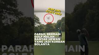 Wah parah Burungnya jadi gimana tuh shorts golf [upl. by Eecyac929]