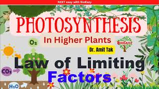 Blackmans Law of Limiting Factor  Response to CO2 concentration Light Temperaturebioeazy amitsir [upl. by Noevad]