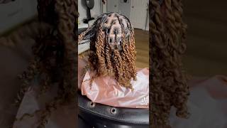 Two strand twist starter Locs [upl. by Ailama]