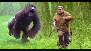 Unbelievable Animal Encounters Caught on Camera in Under 54 Minutes [upl. by Block]