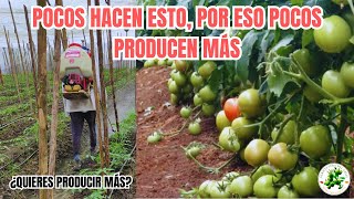 Todos deberían conocer esta técnica para tener un CULTIVO EXCELENTE Fácil [upl. by Ordnasela]