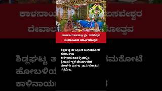 Sidlaghatta  ಕಾಳನಾಯಕನಹಳ್ಳಿ ಶ್ರೀ ಬಸವೇಶ್ವರ ದೇವಾಲಯದ ವಾರ್ಷಿಕೋತ್ಸವ [upl. by Ainigriv]