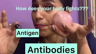 AntigenAntibody Reaction [upl. by Libbie270]