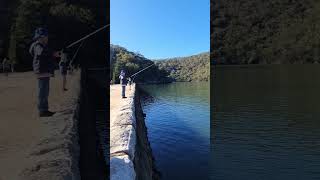 Fishing Sydney Bobbin Head KuRingGai Chase National Park [upl. by Ynaffital]