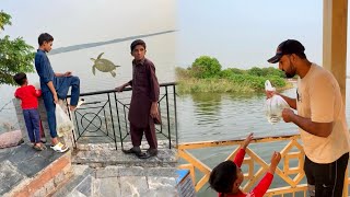 Sab Fishes Turtle Ko Big Lake Mey Chor Aey 😍 Ab Jan Bach Jaey Gi [upl. by Edsel]