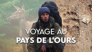 Voyage au Pays de lOurs 10 jours dans les carpates roumaines [upl. by Knudson237]