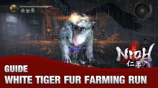 Nioh  White Tiger Fur Farm Run NG 23 minutes 500K Amrita spirit stones amulets divine gear [upl. by Chloris]