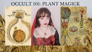 What Is Plant Magick  Occult 101 [upl. by Nayar]