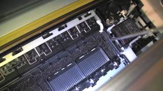 Cleaning the Purge Pad and Wiper Blade on the Epson PRO 3800 [upl. by Esina]