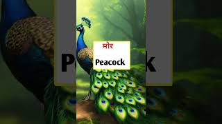 Daily Use English vocabulary  English animal and Bird name। Learn । english​ । part 2 [upl. by Annod712]