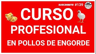 🟠ENGORDE POLLOS RÁPIDO Y SANOS EN 30 DÍAS 🧾 Con Este CURSO PROFESIONAL✏️ [upl. by Adama]