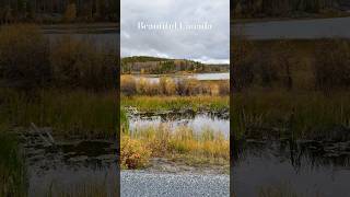 O Canada  Yellowknife [upl. by Beitnes]