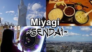 MIYAGI  Sendai・仙台｜Daikannon Eating Gyutan and Arcades Japan Travel Vlog 5 [upl. by Ataga828]