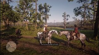 Red Dead Redemption 2 The Missouri Fox Trotter Vs Brindle Thoroughbred Horse Race [upl. by Irik]