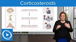 Corticosteroids – Pharmacology  Lecturio Nursing [upl. by Spoor]