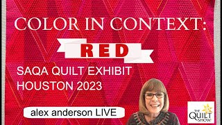 Alex Anderson LIVE SAQA Quilt Exhibit  Houston 2023 [upl. by Anitsyrc]