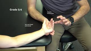 Manual Muscle Test for Metacarpophalangeal Flexion [upl. by Urana]