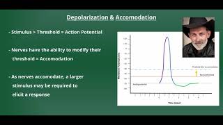 Introduction to Electrical Stimulation [upl. by Erdnassak]