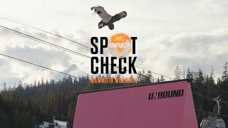 32 Spot Check Mammoth Mtn April 2022 [upl. by Okire]