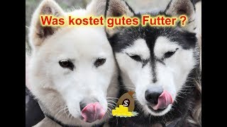 Muss gutes Hundefutter teuer sein  Hundefutter  artgerechte Ernähung Nature Trails [upl. by Magdalen]