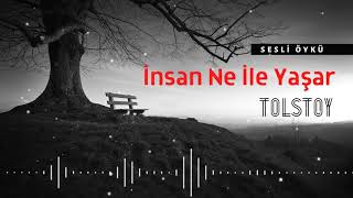 İNSAN NE İLE YAŞAR  TOLSTOY Seslendiren Nisan Kumru [upl. by Felizio]