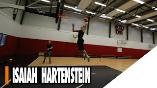 Isaiah Hartenstein Basketball Workout with Coach Paul Gudde [upl. by Yellek]