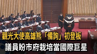 高雄熊「備詢」初登板 議員盼市府栽培促進觀光－民視新聞 [upl. by Simonsen658]