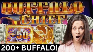 Buffalo Chief 200 Buffalo amp Free Spins  HUGE WIN buffaloslotmachine buffalogold casinobonus [upl. by Noraed781]