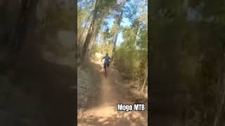 Poachers Rite at mogomtb mtb mountainbiking [upl. by Odoric]