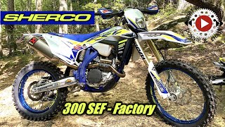 2020 Sherco 300 SEF Factory  First Impression Review  Max Motorsports Demo  Sherco 300 4 Stroke [upl. by Raskind250]