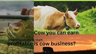 How to business of cow farming  dairy farm business budget  saranoffcl  profit in dairy business [upl. by Mcconaghy952]