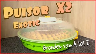 Tips voor het broeden met de puisor X2 broedmachine 🐣 [upl. by Lorusso]