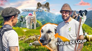 Défendre le troupeau  Rencontre avec Greg un PASTRE et ses Kangals [upl. by Colb]