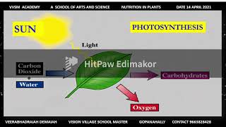 PHOTOSYNTHESIS ದ್ಯುತಿಸಂಶ್ಲೇಷಣೆ [upl. by Brady]