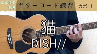 猫／DISH／ギター／コード [upl. by Anitirhc]