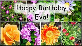 Happy Birthday Eva Greetings Wishes [upl. by Udele467]