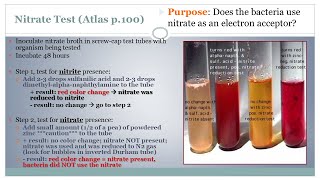 Nitrate Test  Microbiology Class  Podcast CC [upl. by Una]