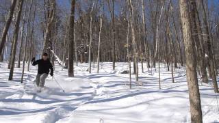 XCD Telemark Backcountry Skiing Secret Slopes Kingsmere Gatineau Park スキー Madshus Panorama M78 [upl. by Daitzman]